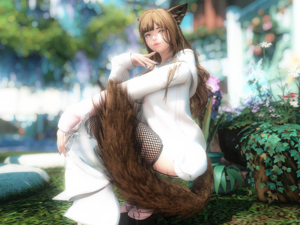 wheel & dapoo ears combo